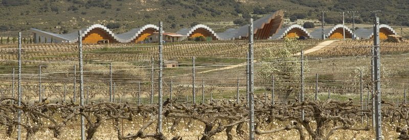 Rioja Alavesa - Bodegas Ysios.jpg