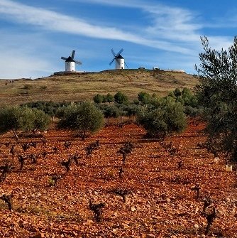 Wina hiszpańskie - Kastylia La Mancha, Madryt, Estremadura