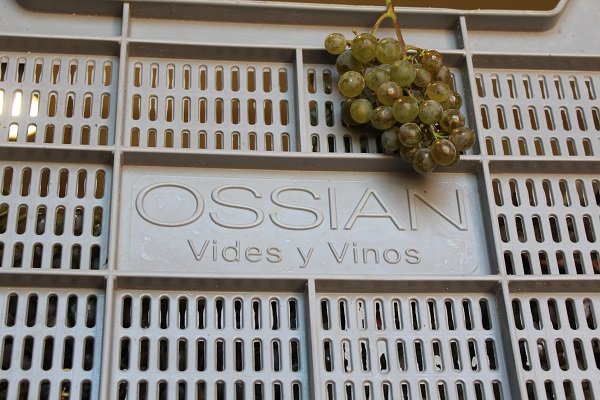 Ossian - wina Rueda 2.jpg