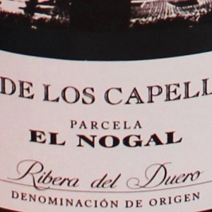 Wina z DO Ribera del Duero - noty degustacyjne polecanych win